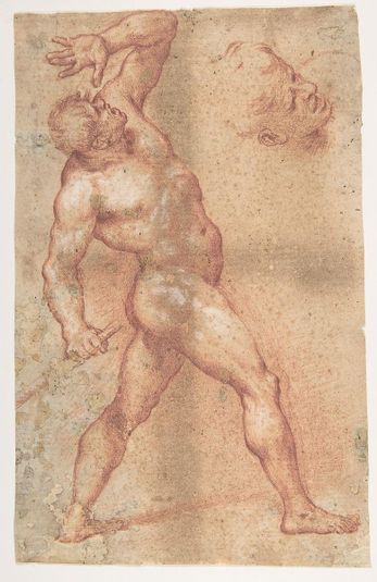 Male Nude with Left Arm Upraised, and a Further Study of His Head