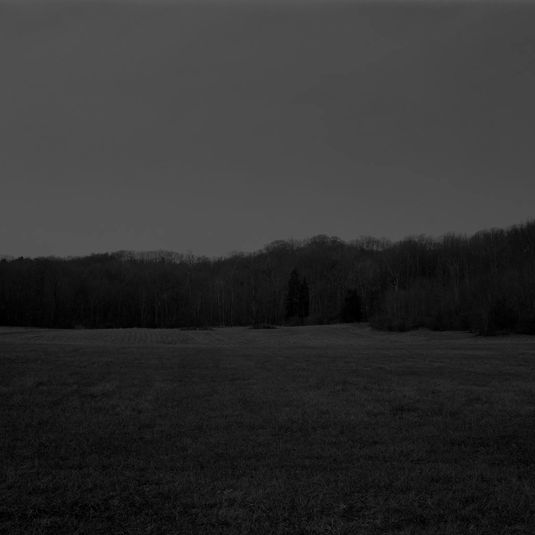 Untitled #9 (The Field) from the series Night Coming Tenderly, Black