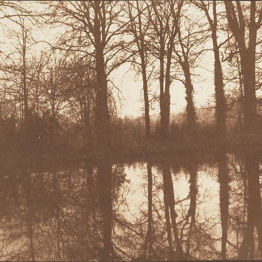 [Winter Trees, Reflected in a Pond]
