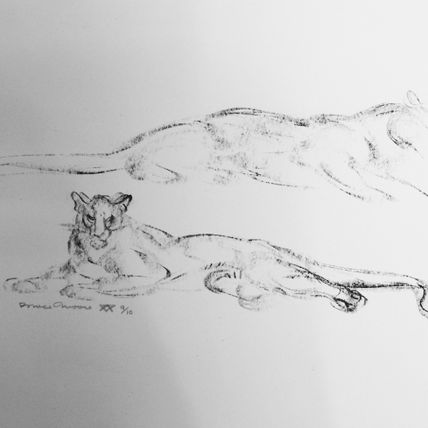 Untitled (Cats)