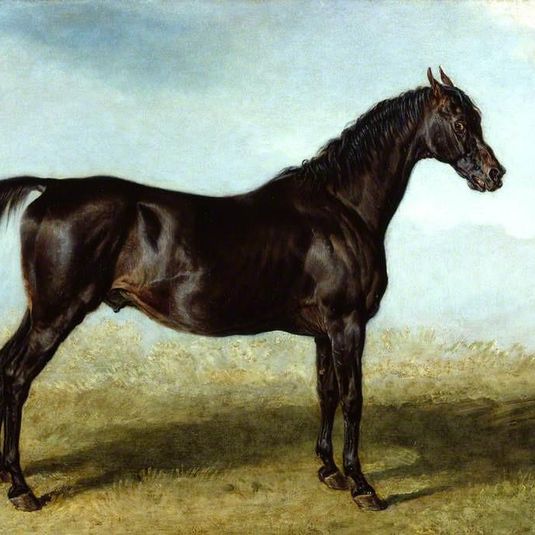 'Guy Mannering', A Race Horse