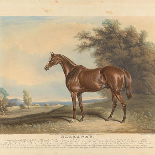 Harkaway. A Chesnut horse, foaled in Ireland in 1834, was bred by Thomas Ferguson, Esq. His sire Economist, his dam, a chesnut mare bred by Lord Cremorne, in 1823,...