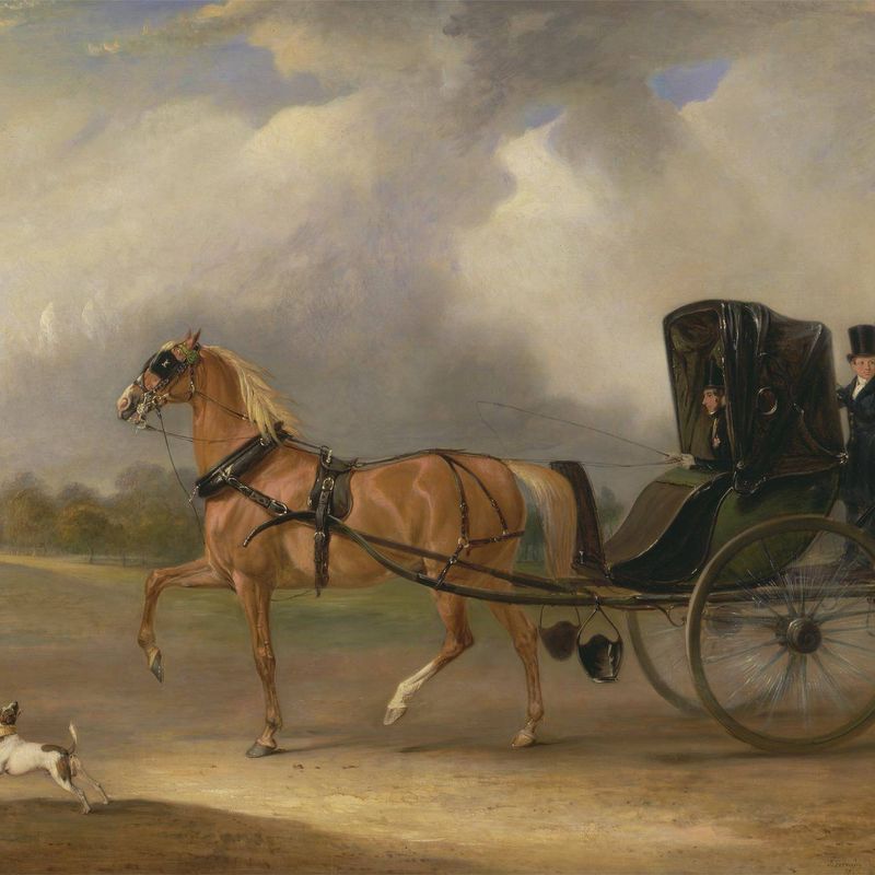 William Massey-Stanley driving his Cabriolet in Hyde Park