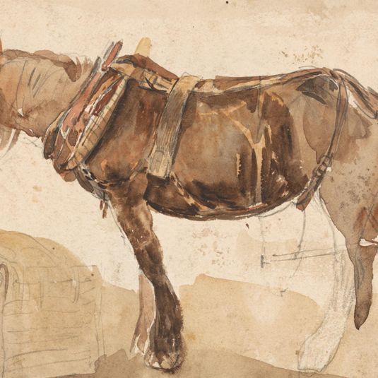 A Horse in Harness Seen From the Near Side