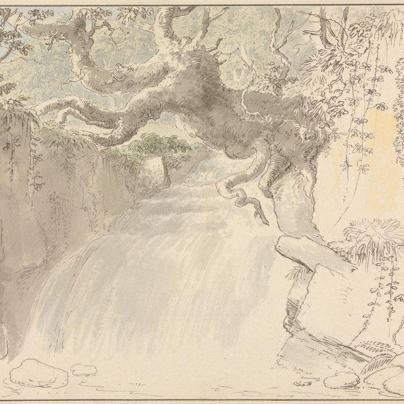 Waterfall and Tree Trunk