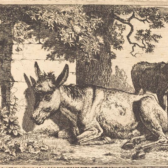A Donkey by a Water Well