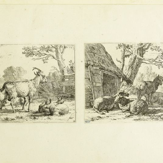 Les Quatre chèvres et trois moutons et une chèvre, deux estampes sur la même feuille (Dutuit 13 et 14)