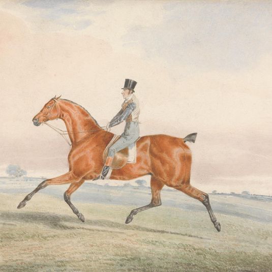Exercising a Racehorse