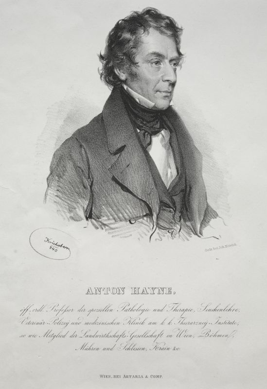 Portrait of Dr. Anton Hayne