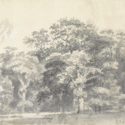 Trees on a River Bank