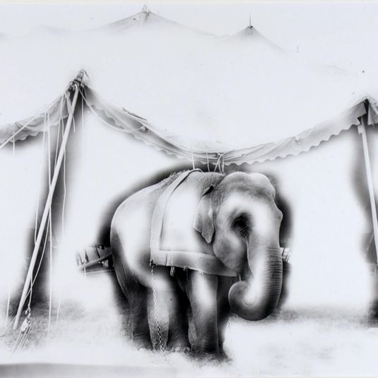 Untitled (Circus Elephant)