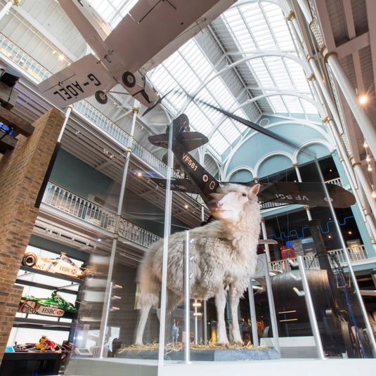 Tour: Highlights of the National Museum of Scotland, 45 mins