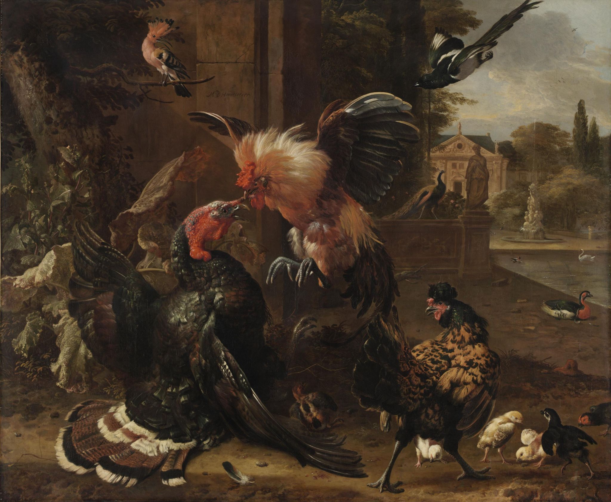 A Rooster and Turkey Fighting