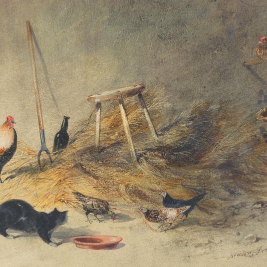 A Cat and Chickens