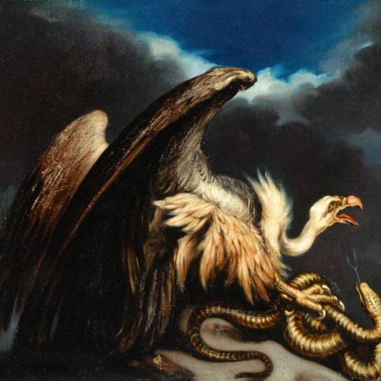 Vulture and snake