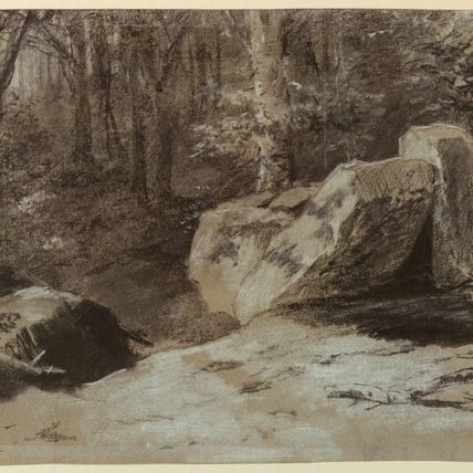 Rocks in the Woods