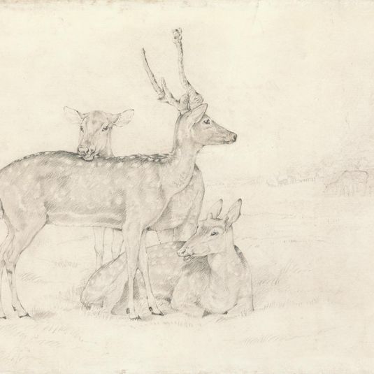 A Herd of Deer Grazing in a Park