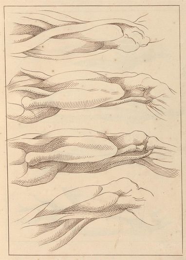 Anatomical Studies of Legs, October 10, 1716