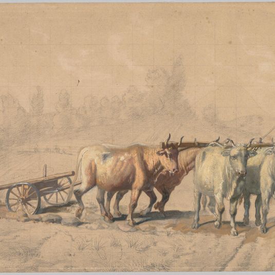 Four Oxen Pulling a Plough