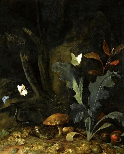Nocturnal Forest Landscape with a Thistle, Chestnuts and Mushrooms
