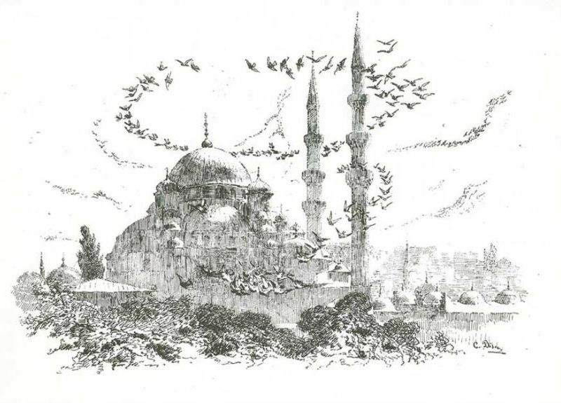 Mosque and Birds