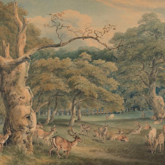 Hearne's Oak, Windsor Forest