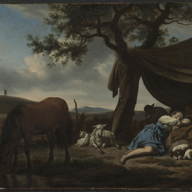 Sleeping Shepherds