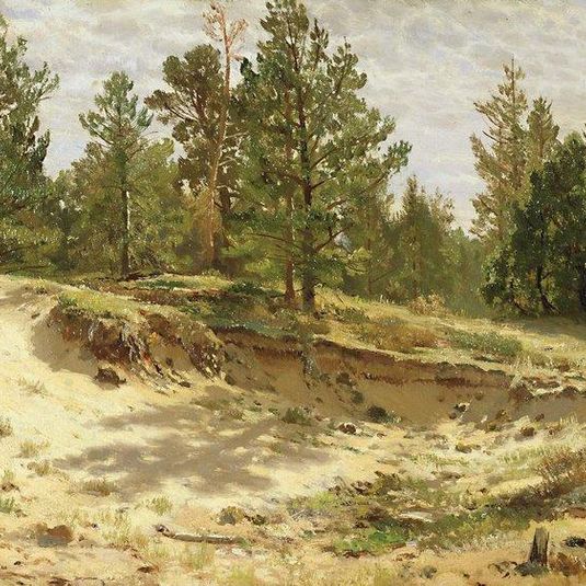 Young pines on the sandy cliff. Mary-Howie on Finnish Railways