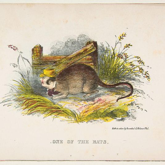 One of the Rats, from The Comic Natural History of the Human Race
