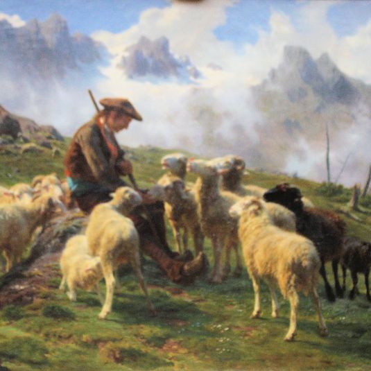 Berger des Pyrénées donnant du sel à ses moutons