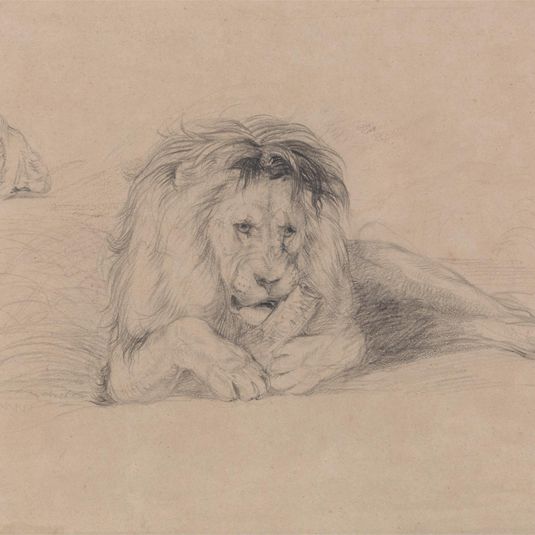 Study of a Lion and Study of a Lioness' Head