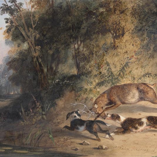 Deerhound and Bitch Cornering a Stag at the Edge of a Woodland Pool