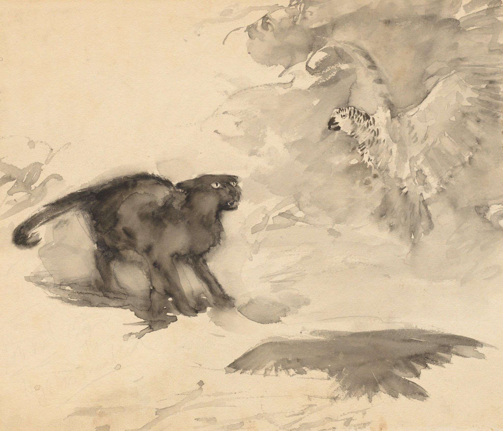 The Parrot and the Cat (Sketch for "Good-Night" by Eleanor Gates)