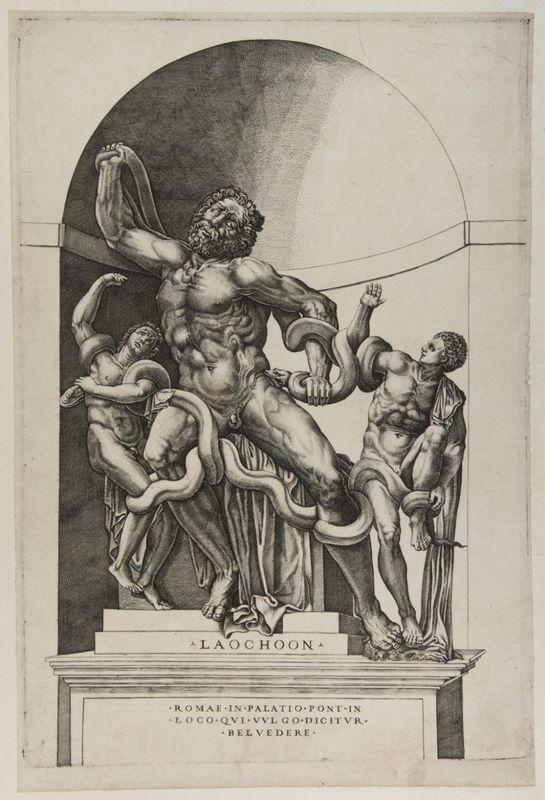Laocoön and His Sons (The Laocoön Group)
