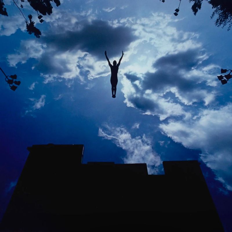 Greg Louganis, Diver, Mission Viejo, California, from the series Shooting for the Gold