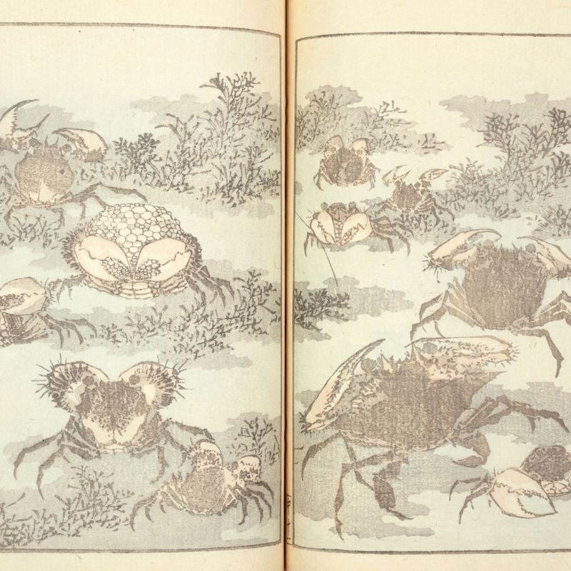 Manuel de dessins d'Hokusai (Hokusai gafu 北斎画譜)