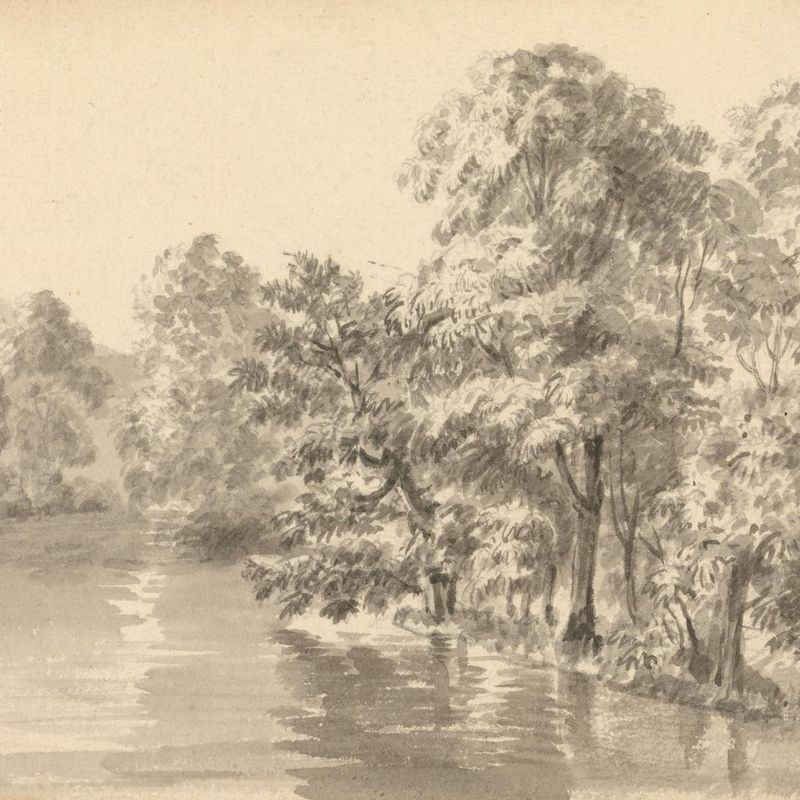 Trees by a Lake