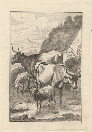 Two cows and two sheep in a stream, a Pl. for 'New Drawing Book...of Beasts in Various Actions' (1 of 9)