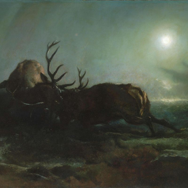 Night (Two Stags Battling by Moonlight)