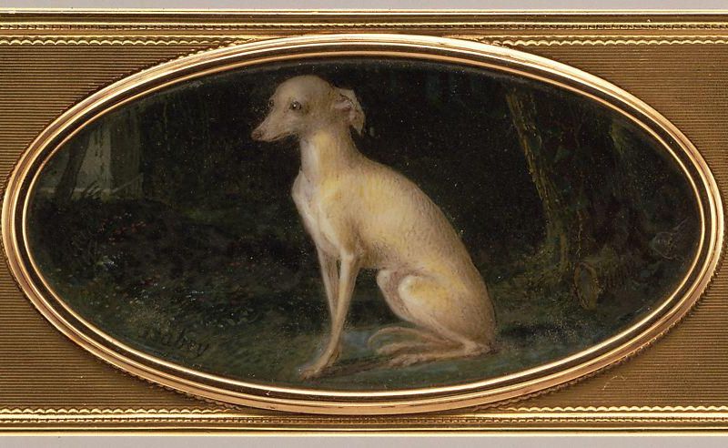 Box with portrait of a whippet