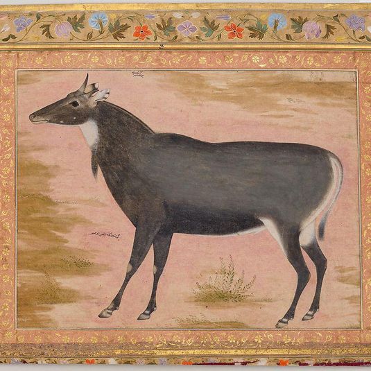 "Study of a Nilgai (Blue Bull)", Folio from the Shah Jahan Album