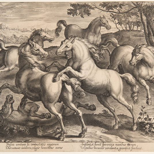 Fighting Horses, from the fourth set of "Equile Joannis Austriaci"