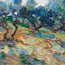 Vincent van Gogh, Olive Trees, 1889