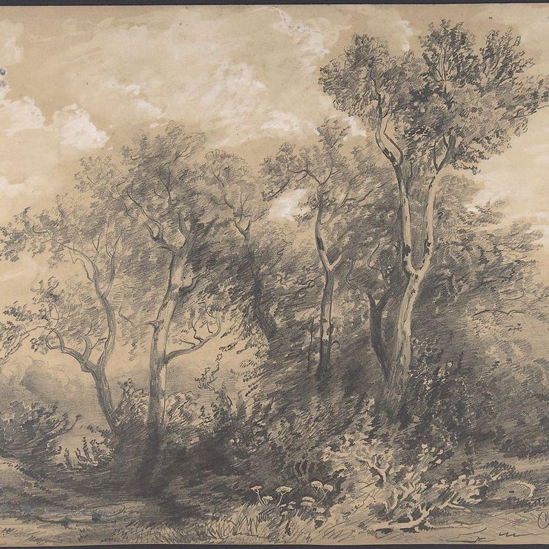 Trees (recto); Soldiers in a Wood (verso)