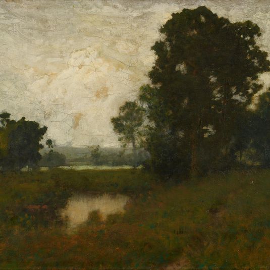 A Pool in the Meadow