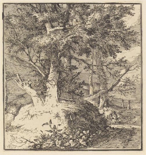 Tree on a Mound