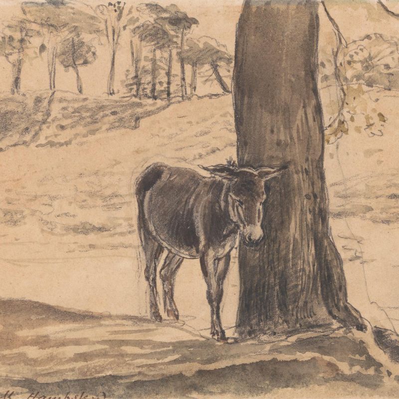 Donkey Beside a Tree, Hampstead