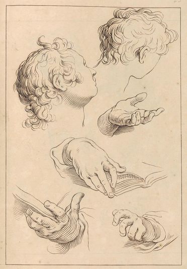 Various Sketches of Heads and Hands, February 8