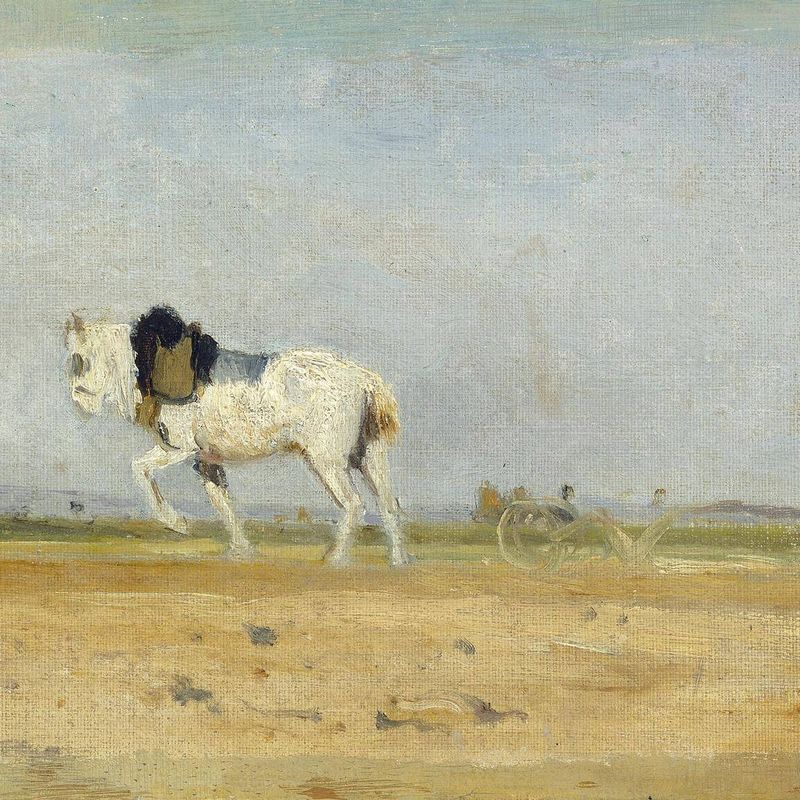 A Plow Horse in a Field