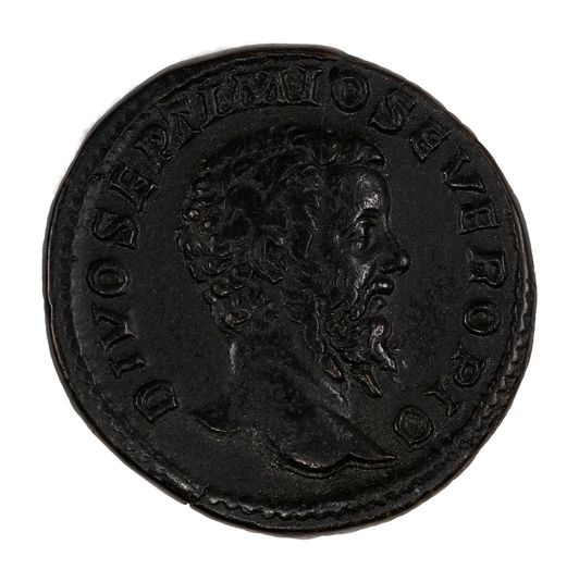 Sestertius of Septimius Severus, Emperor of Rome from Rome